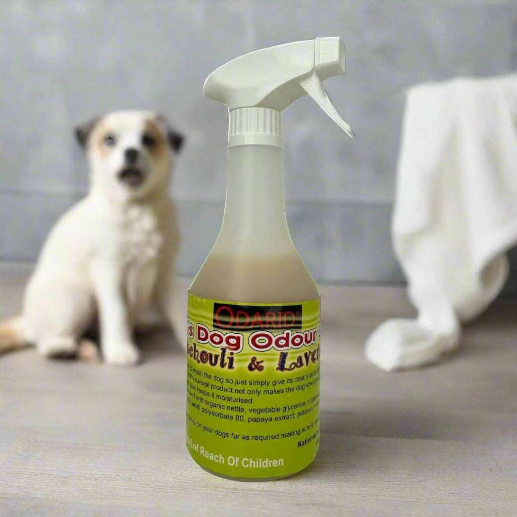 Dog Spritzer 500ml | Refreshing Pet Spray - Cleansmart.