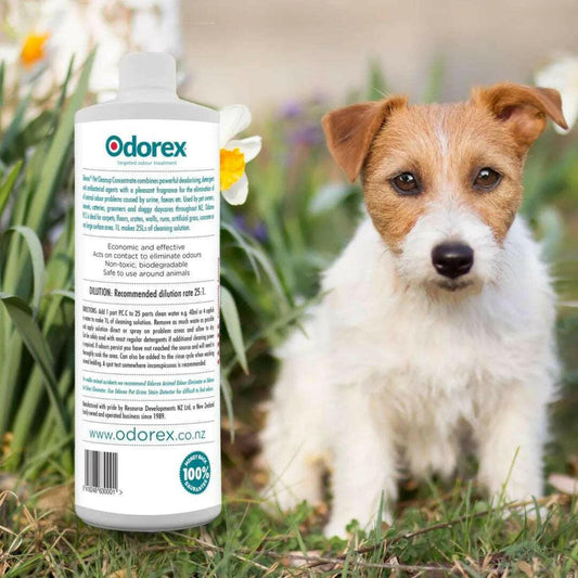Pet Cleanup Concentrate | Eliminate Odours & Stains - Odorex.