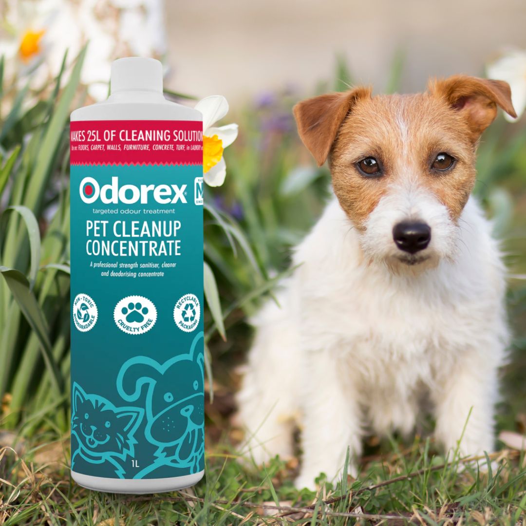 Odorex Odour Eliminators – Feet, Fishing & Pets - Cleansmart