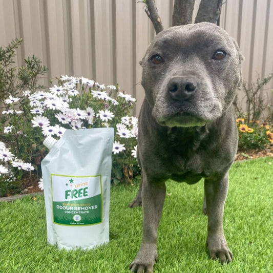 Artificial Grass Cleaner Concentrate | Restores Freshness | urineFREE