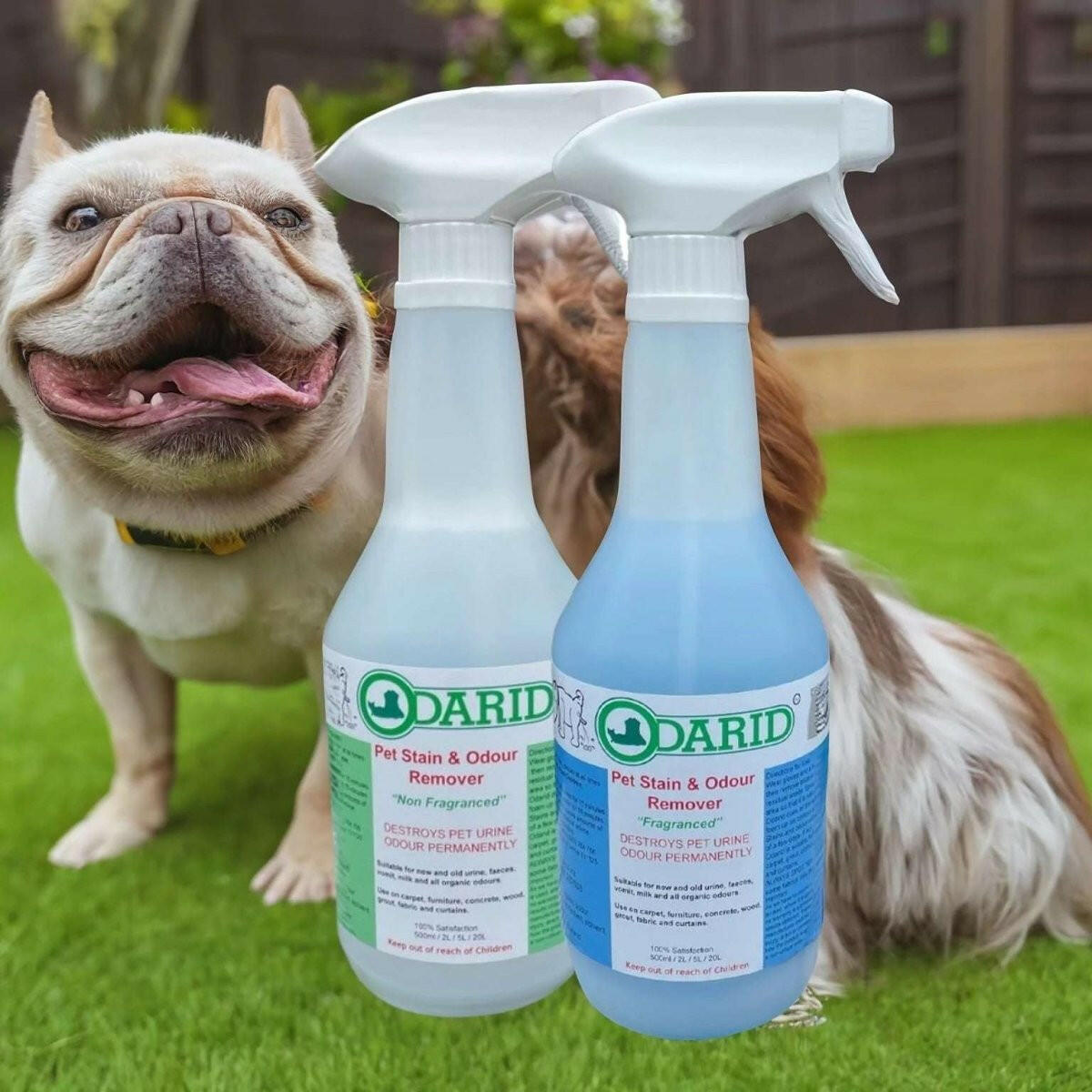 Odarid Pet Stain and Odour Remover | Pack.
